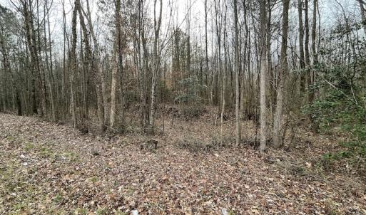 Photo #36 of SOLD property in Off Fortsville Rd, Drewryville, VA 74.0 acres