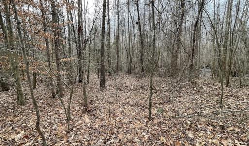 Photo #38 of SOLD property in Off Fortsville Rd, Drewryville, VA 74.0 acres