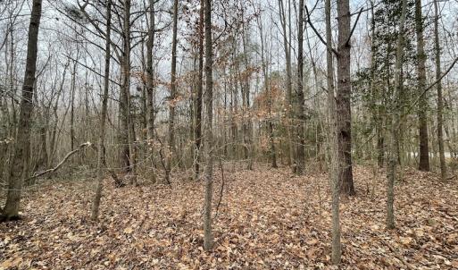 Photo #39 of SOLD property in Off Fortsville Rd, Drewryville, VA 74.0 acres