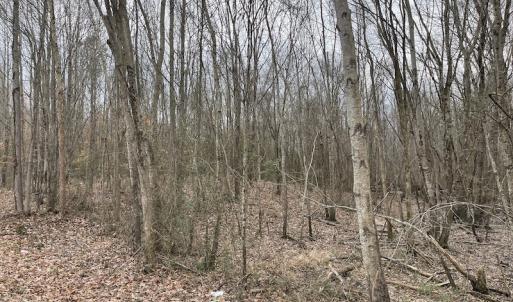Photo #42 of SOLD property in Off Fortsville Rd, Drewryville, VA 74.0 acres