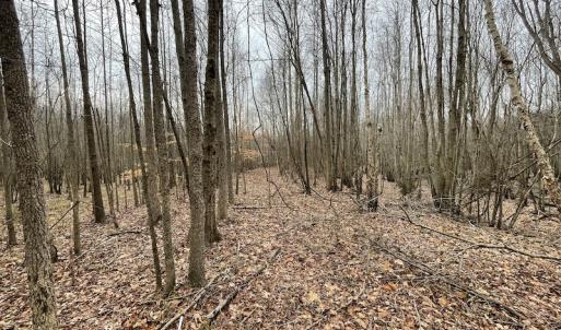 Photo #44 of SOLD property in Off Fortsville Rd, Drewryville, VA 74.0 acres