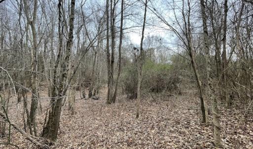 Photo #46 of SOLD property in Off Fortsville Rd, Drewryville, VA 74.0 acres