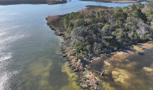 Photo #14 of SOLD property in Off Hog Quarter Road, Powells Point, NC 37.2 acres