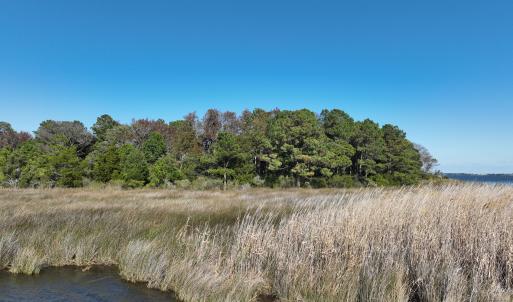 Photo #16 of SOLD property in Off Hog Quarter Road, Powells Point, NC 37.2 acres