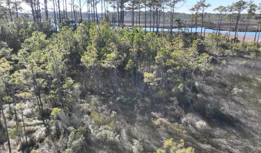 Photo #19 of SOLD property in Off Hog Quarter Road, Powells Point, NC 37.2 acres