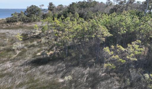 Photo #20 of SOLD property in Off Hog Quarter Road, Powells Point, NC 37.2 acres