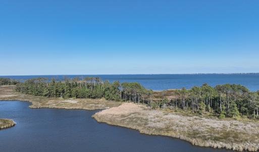 Photo #22 of SOLD property in Off Hog Quarter Road, Powells Point, NC 37.2 acres