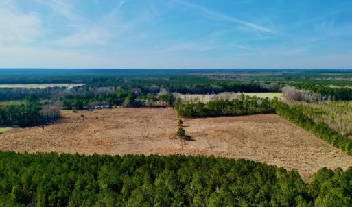 Photo #4 of SOLD property in 4345 Shiloh Rd, Watha, NC 75.0 acres