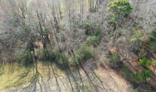 Photo #14 of SOLD property in Off Rolfe Hwy, Surry, VA 33.7 acres