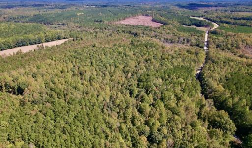 Photo #19 of SOLD property in Off Lunbar Court , Kittrell, NC 32.5 acres