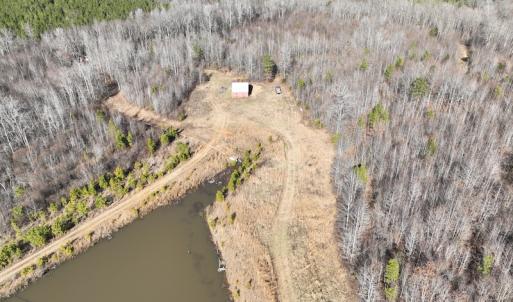 Photo #10 of SOLD property in Off Odell Littleton Road , Littleton , NC 200.0 acres