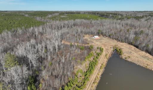 Photo #12 of SOLD property in Off Odell Littleton Road , Littleton , NC 200.0 acres