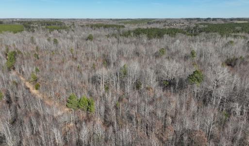 Photo #14 of SOLD property in Off Odell Littleton Road , Littleton , NC 200.0 acres