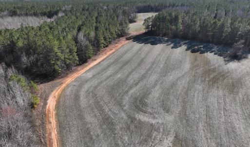 Photo #16 of SOLD property in Off Odell Littleton Road , Littleton , NC 200.0 acres