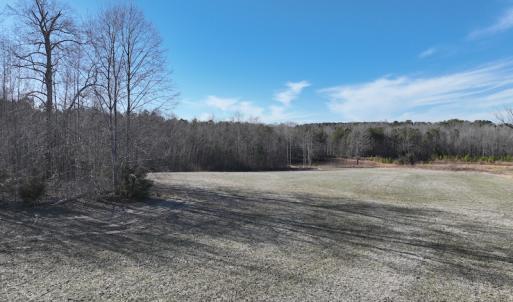 Photo #18 of SOLD property in Off Odell Littleton Road , Littleton , NC 200.0 acres