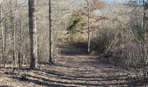 Photo #25 of SOLD property in Off Odell Littleton Road , Littleton , NC 200.0 acres