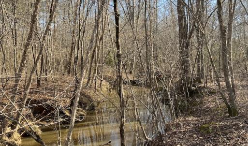 Photo #27 of SOLD property in Off Odell Littleton Road , Littleton , NC 200.0 acres
