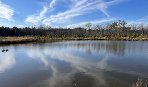 Photo #29 of SOLD property in Off Odell Littleton Road , Littleton , NC 200.0 acres