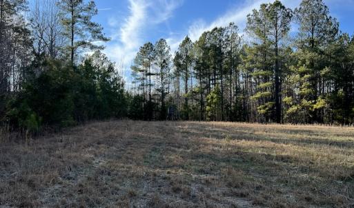 Photo #31 of SOLD property in Off Odell Littleton Road , Littleton , NC 200.0 acres