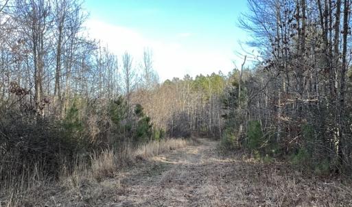 Photo #32 of SOLD property in Off Odell Littleton Road , Littleton , NC 200.0 acres