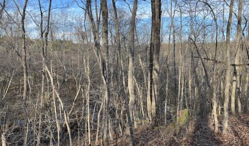 Photo #34 of SOLD property in Off Odell Littleton Road , Littleton , NC 200.0 acres