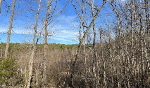 Photo #36 of SOLD property in Off Odell Littleton Road , Littleton , NC 200.0 acres