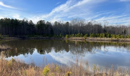 Photo #41 of SOLD property in Off Odell Littleton Road , Littleton , NC 200.0 acres