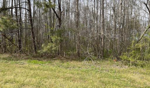 Photo #5 of SOLD property in 173 Paxton Lane, Edenton, NC 1.7 acres
