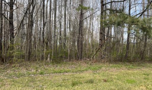 Photo #20 of SOLD property in 173 Paxton Lane, Edenton, NC 1.7 acres