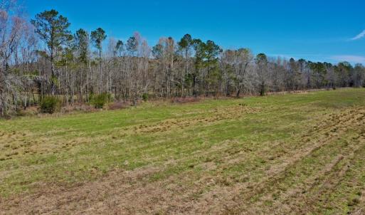 Photo #20 of SOLD property in 9105 Country Home Rd, Ayden, NC 23.0 acres