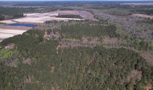 Photo #45 of SOLD property in 388 & 268 Promise Cove Rd, Elizabethtown, NC 40.0 acres