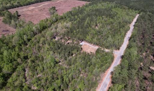 Photo #12 of SOLD property in 03 Beamon Hunt Road, Warrenton, NC 16.0 acres