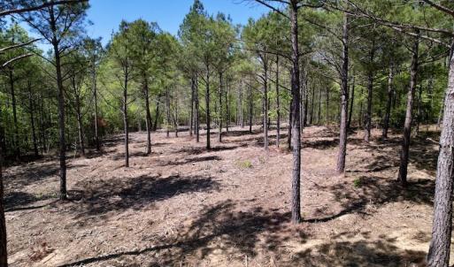 Photo #18 of SOLD property in 03 Beamon Hunt Road, Warrenton, NC 16.0 acres