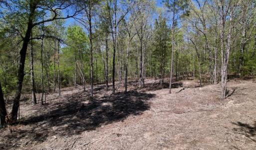 Photo #19 of SOLD property in 03 Beamon Hunt Road, Warrenton, NC 16.0 acres