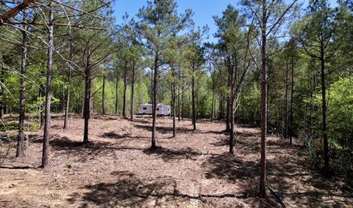 Photo #20 of SOLD property in 03 Beamon Hunt Road, Warrenton, NC 16.0 acres