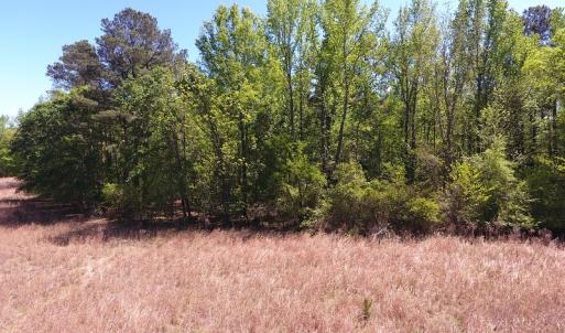 Photo #4 of SOLD property in Off Mcquage Farm Road, Bennettsville, SC 2.0 acres