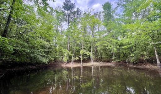 Photo #30 of SOLD property in Off Hwy 903, Snow Hill, NC 115.0 acres