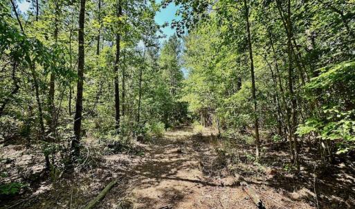 Photo #21 of 315 West Sycamore Street, Aulander, NC 40.0 acres