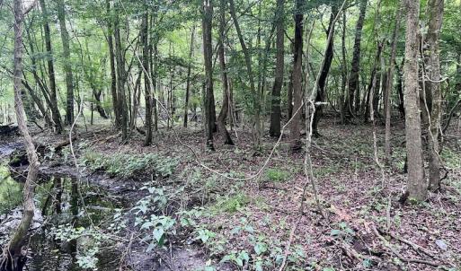 Photo #12 of SOLD property in Off Hwy 123 North, Hookerton, NC 36.0 acres