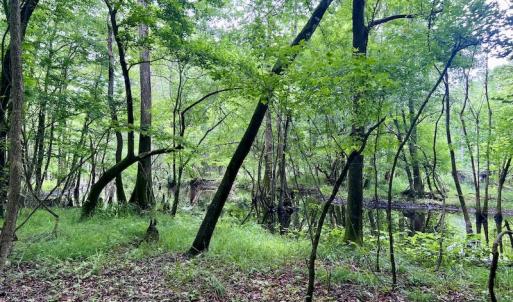 Photo #22 of SOLD property in Off Hwy 123 North, Hookerton, NC 36.0 acres