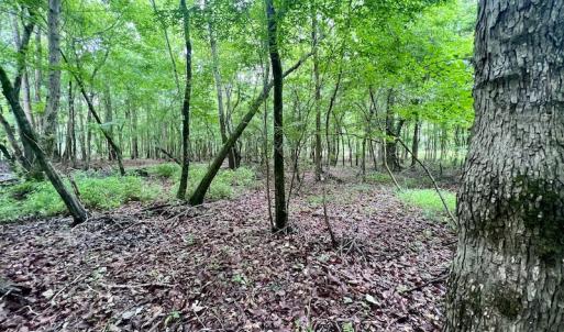 Photo #28 of SOLD property in Off Hwy 123 North, Hookerton, NC 36.0 acres