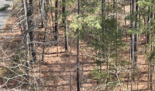 Photo #22 of SOLD property in 116, 118 & 120 Navajo Trail, Edenton, NC 0.4 acres