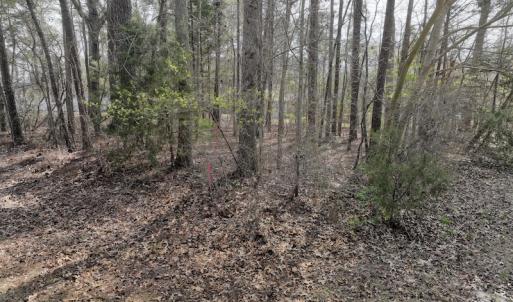 Photo #26 of SOLD property in 116, 118 & 120 Navajo Trail, Edenton, NC 0.4 acres