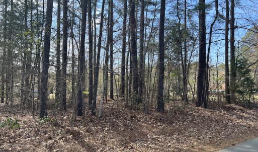 Photo #31 of SOLD property in 116, 118 & 120 Navajo Trail, Edenton, NC 0.4 acres