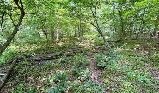 Photo #51 of SOLD property in 3598 Lower Fork Rd, Williamsville, VA 22.2 acres