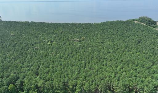 Photo #2 of SOLD property in Off New Hope Road, Hertford, NC 67.9 acres