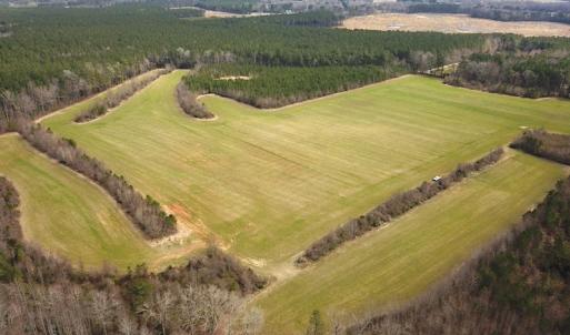 Photo #4 of 7245 General Mahone Hwy , Waverly, VA 62.0 acres