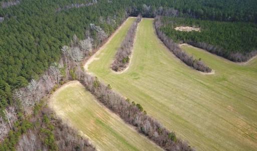 Photo #6 of 7245 General Mahone Hwy , Waverly, VA 62.0 acres