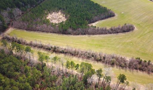 Photo #7 of 7245 General Mahone Hwy , Waverly, VA 62.0 acres