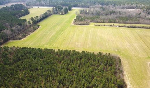 Photo #9 of 7245 General Mahone Hwy , Waverly, VA 62.0 acres